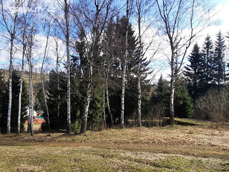 Prodej stavebního pozemku 2 029 m² Lučany nad Nisou - Horní Maxov, okres Jablonec nad Nisou